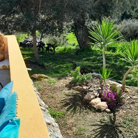 Σπίτι διακοπών Charming House In With Private Garden Figueira da Foz