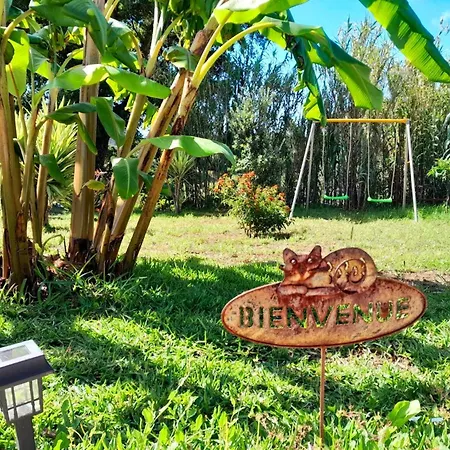 Charming House In With Private Garden Figueira da Foz