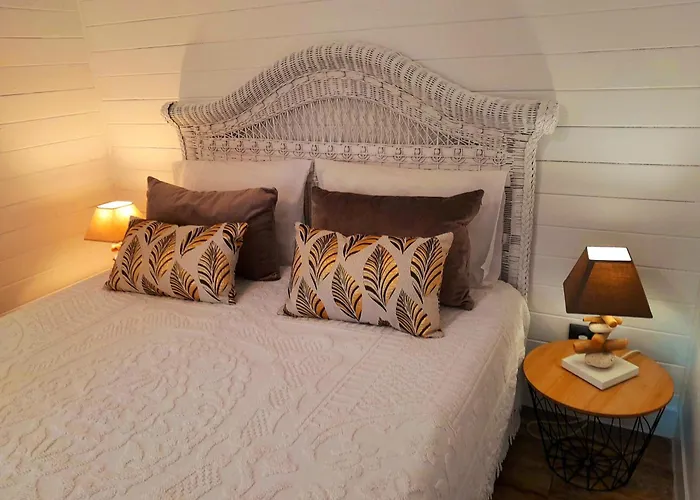 Charming House In With Private Garden Figueira da Foz